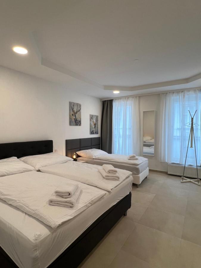 Apartment Superb Between Westbahnhof And Schloss Schonbrunn